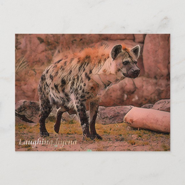 Laughing Hyena Postcard (Front)