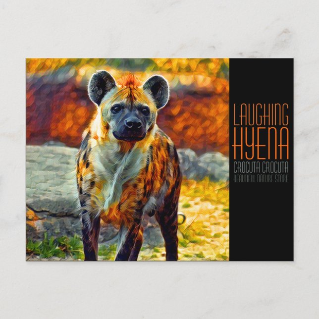 Laughing hyena postcard (Front)