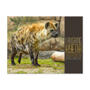 Laughing hyena [Postcard] Postcard