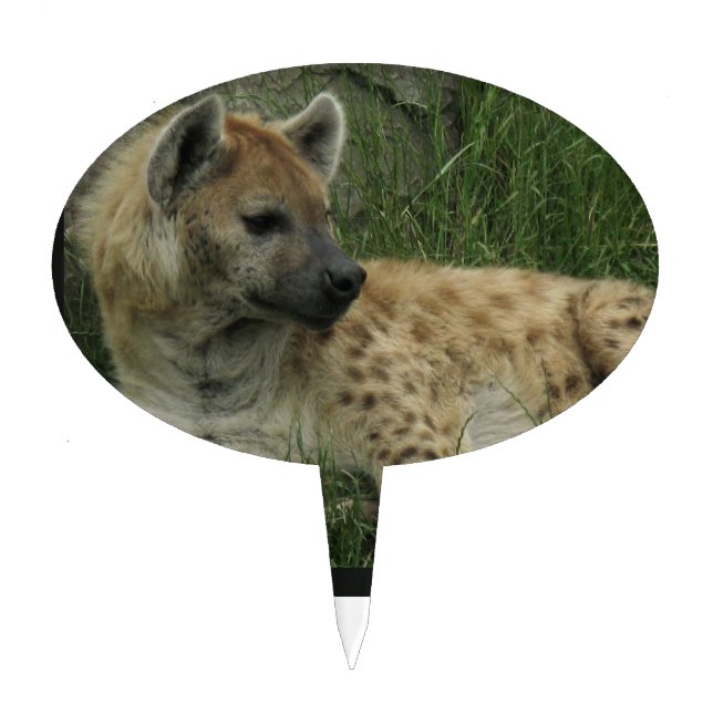 Laughing Hyenas Cake Topper (Front)
