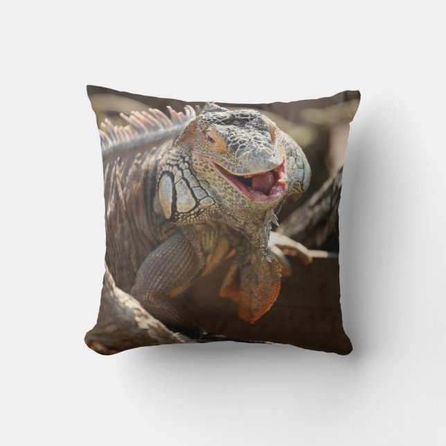 Laughing Iguana Photo Throw Pillow (Front)