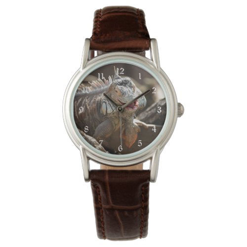 Laughing Iguana Photo Watch