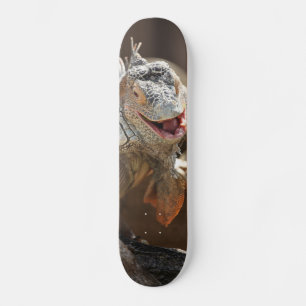 Laughing Iguana Photography Skateboard Deck