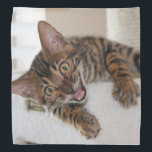 LAUGHING KITTEN BANDANA<br><div class="desc">A photo of a cute Bengal kitten having a crazy good laugh.</div>