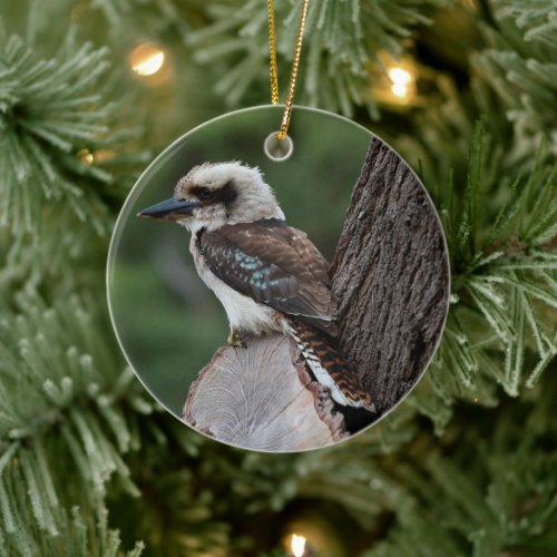 Laughing Kookaburra Bird Animal Tree Ceramic Ornament