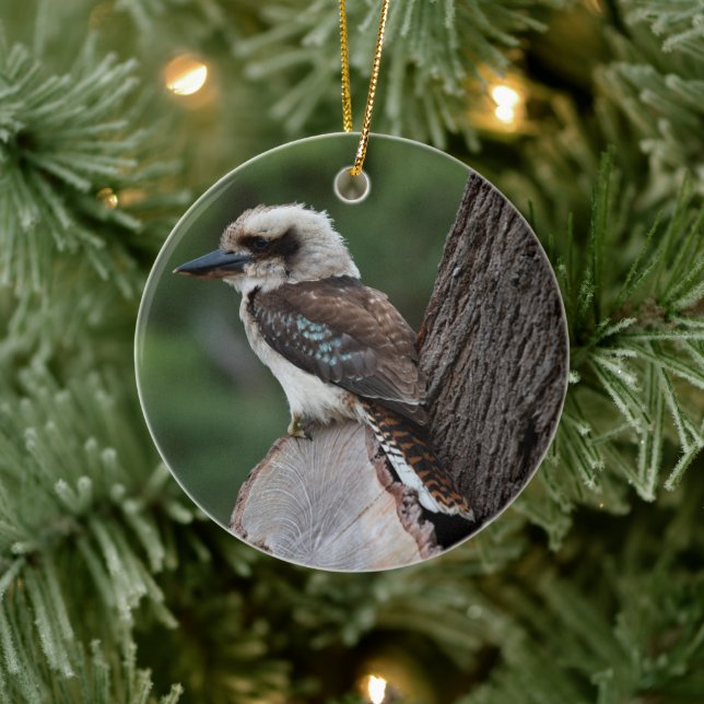 Laughing Kookaburra Bird Animal Tree Ceramic Ornament (Tree)