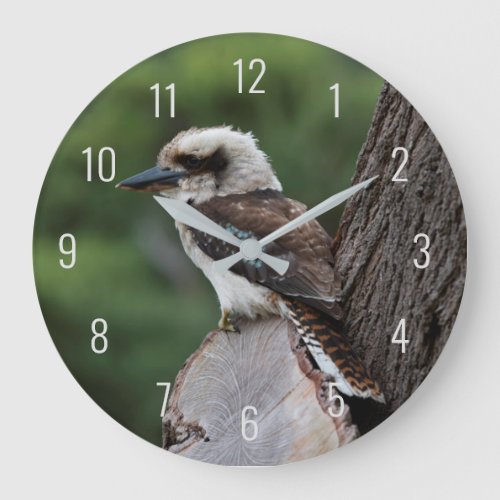 Laughing Kookaburra Bird Animal Tree Large Clock