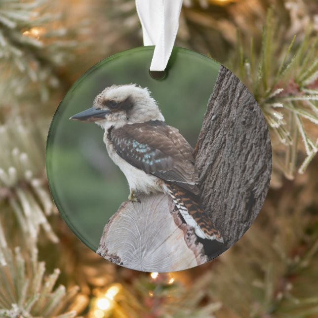Laughing Kookaburra Bird Animal Tree Ornament (Tree)