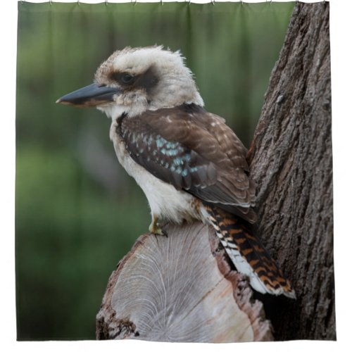 Laughing Kookaburra Bird Animal Tree Shower Curtain