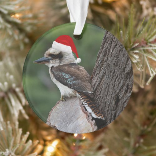 Laughing Kookaburra Bird Christmas Red Santa Hat Ornament