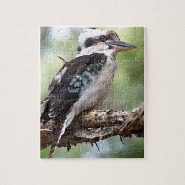 Laughing kookaburra on Fraser Island Australia Jigsaw Puzzle (Vertical)