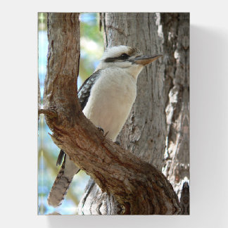 Laughing Kookaburra Paperweight