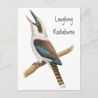 Laughing Kookaburra Postcard