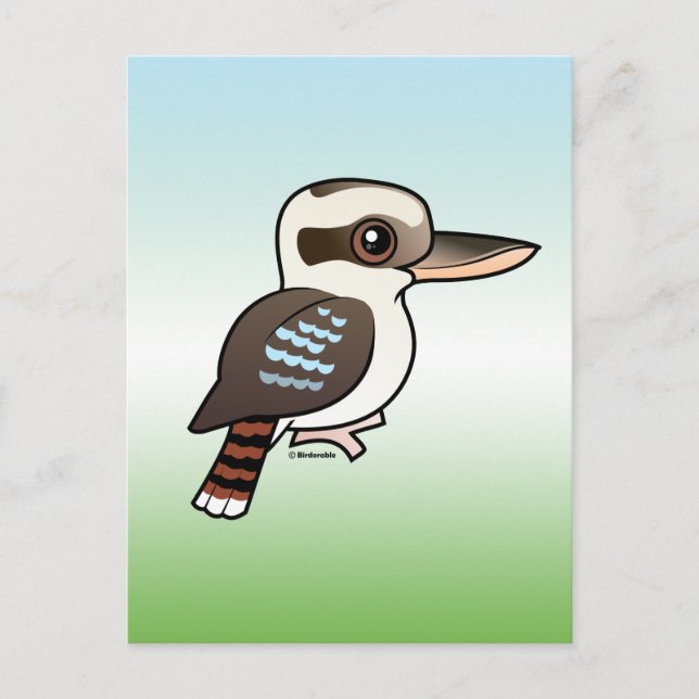Laughing Kookaburra Postcard (Front)