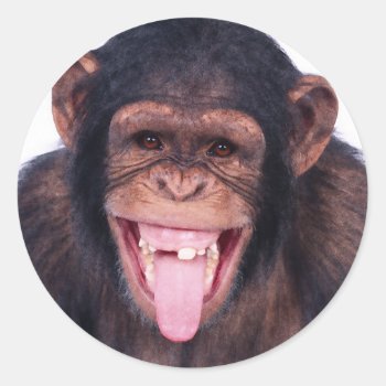 Laughing Monkey Classic Round Sticker by TNMgraphics at Zazzle