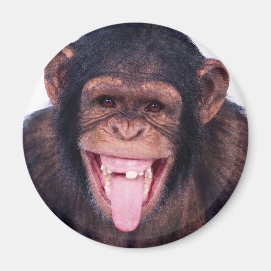 laughing monkey toy smyths