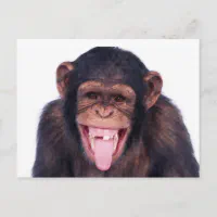Postcard-Beach Great gifts for fun people at Monkey Business