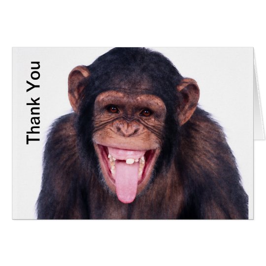 laughing-monkey-thank-you-card-zazzle