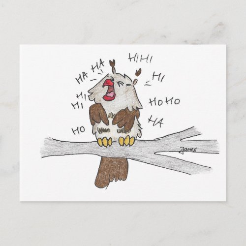 LAUGHING OWL postcard by Nicole Janes