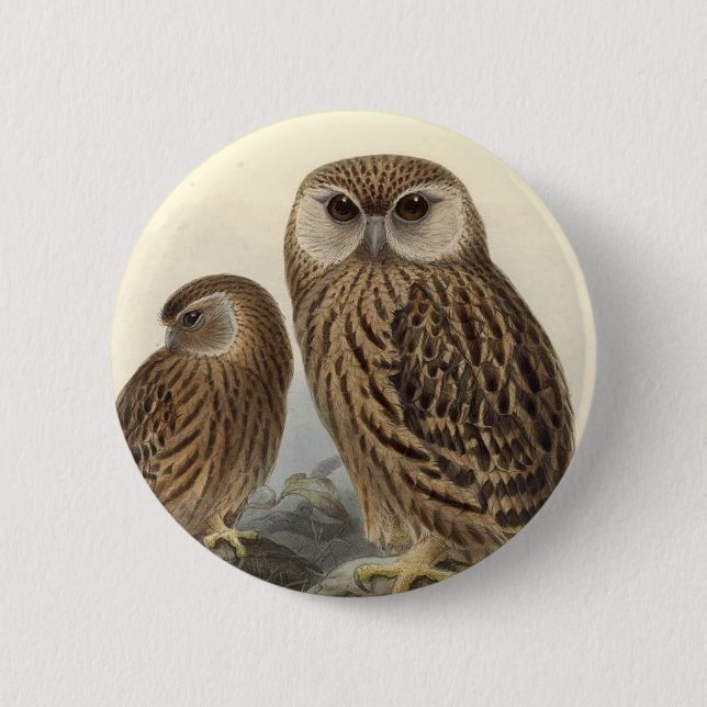 Laughing Owl Vintage Illustration Button (Front)