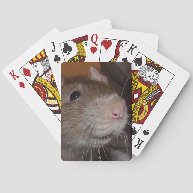 laughing rat playing cards (Back)