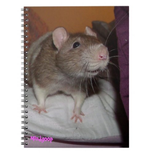 laughing rat spiral notebook