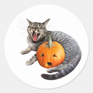 Laughing Tabby Cat Pumpkin Sticker