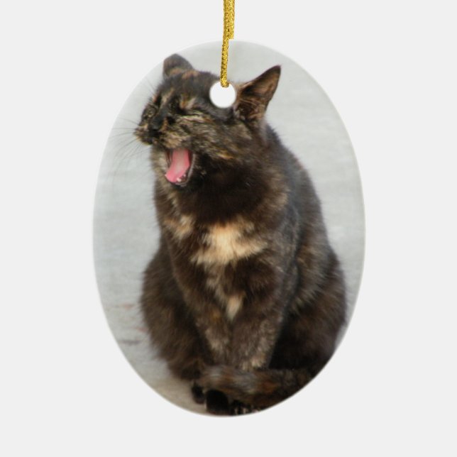 Laughing Tortoiseshell cat ornament (Front)
