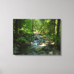 Laughingwater Creek at Mount Rainier National Park Canvas Print