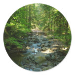 Laughingwater Creek at Mount Rainier National Park Classic Round Sticker