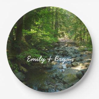 Laughingwater Creek at Mount Rainier National Park Paper Plates
