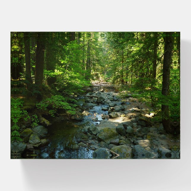 Laughingwater Creek at Mount Rainier National Park Paperweight (Front)