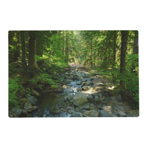 Laughingwater Creek at Mount Rainier National Park Placemat