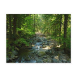 Laughingwater Creek at Mount Rainier National Park Postcard