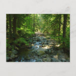 Laughingwater Creek at Mount Rainier National Park Postcard
