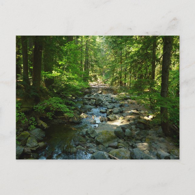Laughingwater Creek at Mount Rainier National Park Postcard (Front)