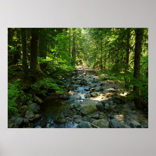 Laughingwater Creek at Mount Rainier National Park Poster (Front)