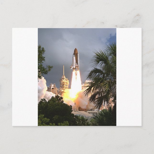 launch with palms postcard (Front)