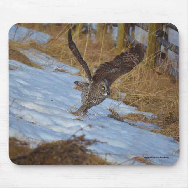 Launching Great Gray Owl and Snow Wildlife Raptor Mouse Pad (Front)
