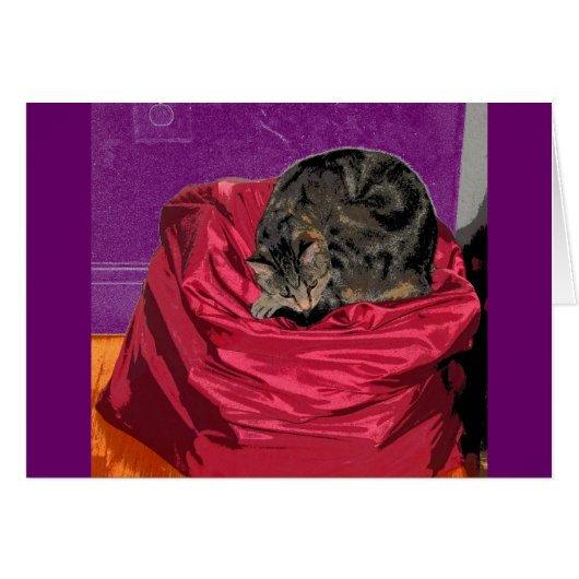 Laundry Bag Indigo CB Cards (Front Horizontal)