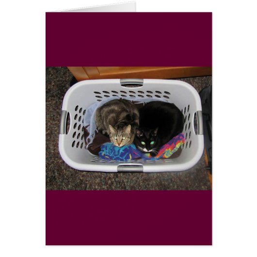 Laundry Basket Kitties Cards (Front)