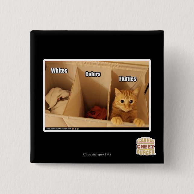 Laundry Cat Pinback Button (Front)