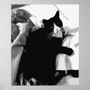 Laundry Cat Poster