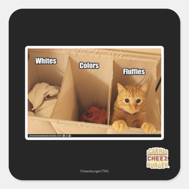 Laundry Cat Square Sticker (Front)