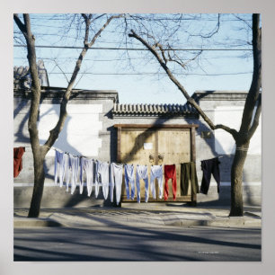 Laundry Drying on Clotheslines Poster