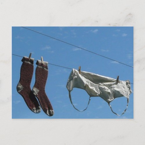 Laundry on the Line Postcard