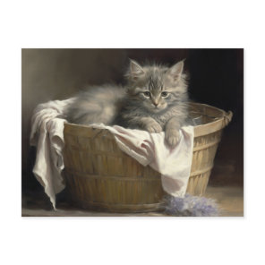 Laundry Or Playtime Gray Kitten Portrait Postcard