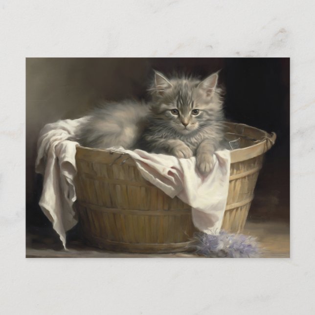 Laundry Or Playtime Gray Kitten Portrait Postcard (Front)