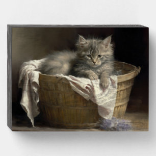 Laundry Or Playtime Gray Kitten Portrait Wooden Box Sign