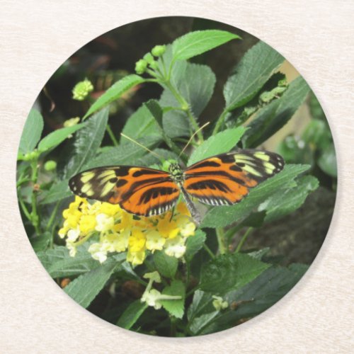Laura Longwing Butterfly Coaster